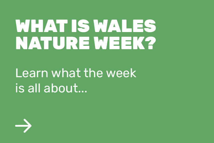 What is Wales Nature Week? title=